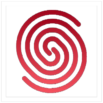 Launchpoint Collective